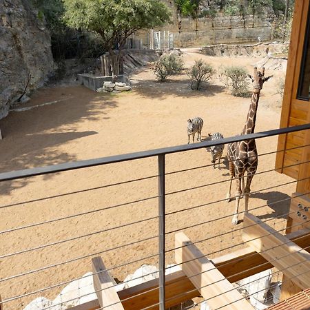 San Antonio Zoo - Spekboom Giraffe Lodge Eksteriør billede