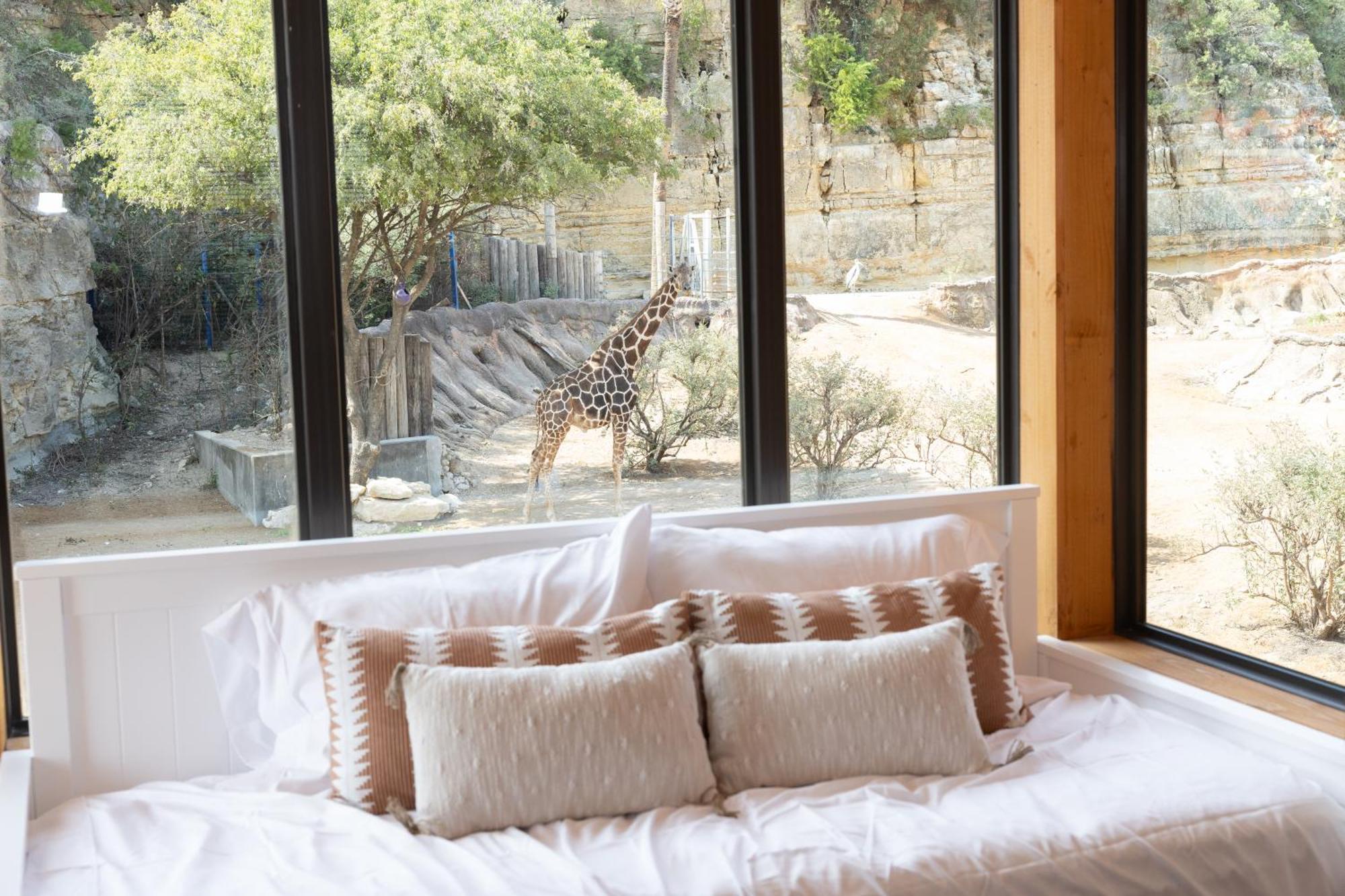San Antonio Zoo - Spekboom Giraffe Lodge Eksteriør billede