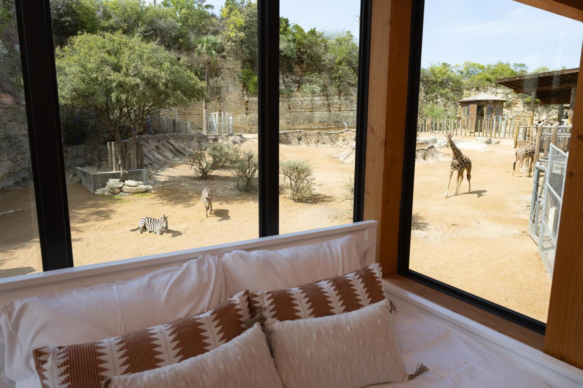 San Antonio Zoo - Spekboom Giraffe Lodge Eksteriør billede
